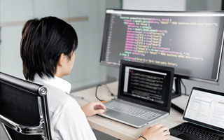 嘉善 api php源码,下载的php源码怎么运行呢？